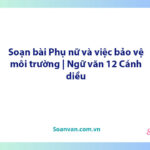 Soạn bài Phụ nữ và việc bảo vệ môi trường | Ngữ văn 12 Cánh diều