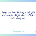 Soạn bài Sơn Đoòng – thế giới chỉ có một | Ngữ văn 11 Chân trời sáng tạo