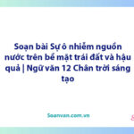 Soạn bài Sự ô nhiễm nguồn nước trên bề mặt trái đất và hậu quả | Ngữ văn 12 Chân trời sáng tạo