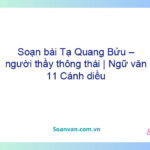 Soạn bài Tạ Quang Bửu – người thầy thông thái | Ngữ văn 11 Cánh diều