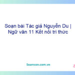 Soạn bài Tác giả Nguyễn Du | Ngữ văn 11 Kết nối tri thức