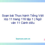 Soạn bài Thực hành Tiếng Việt lớp 11 trang 116 tập 1 | Ngữ văn 11 Cánh diều