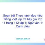 Soạn bài Thực hành đọc hiểu: Tiếng Việt lớp trẻ bây giờ lớp 11 trang 112 tập 1| Ngữ văn 11 Cánh diều