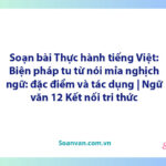 Soạn bài Thực hành tiếng Việt: Biện pháp tu từ nói mỉa, nghịch ngữ: đặc điểm và tác dụng | Ngữ văn 12 Kết nối tri thức