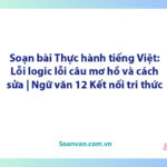 Soạn bài Thực hành tiếng Việt: Lỗi logic, lỗi câu mơ hồ và cách sửa | Ngữ văn 12 Kết nối tri thức