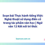 Soạn bài Thực hành tiếng Việt: Nghệ thuật sử dụng điển cố trong tác phẩm văn học | Ngữ văn 12 Kết nối tri thức