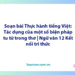 Soạn bài Thực hành tiếng Việt: Tác dụng của một số biện pháp tu từ trong thơ | Ngữ văn 12 Kết nối tri thức