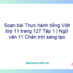 Soạn bài Thực hành tiếng Việt lớp 11 trang 127 Tập 1 | Ngữ văn 11 Chân trời sáng tạo