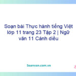 Soạn bài Thực hành tiếng Việt lớp 11 trang 23 Tập 2 | Ngữ văn 11 Cánh diều