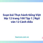 Soạn bài Thực hành tiếng Việt lớp 12 trang 100 Tập 1 | Ngữ văn 12 Cánh diều