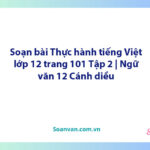 Soạn bài Thực hành tiếng Việt lớp 12 trang 101 Tập 2 | Ngữ văn 12 Cánh diều