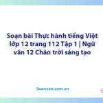 Soạn bài Thực hành tiếng Việt lớp 12 trang 112 Tập 1 | Ngữ văn 12 Chân trời sáng tạo