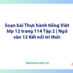 Soạn bài Thực hành tiếng Việt lớp 12 trang 114 Tập 2 | Ngữ văn 12 Kết nối tri thức