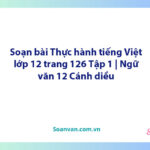 Soạn bài Thực hành tiếng Việt lớp 12 trang 126 Tập 1 | Ngữ văn 12 Cánh diều