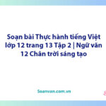 Soạn bài Thực hành tiếng Việt lớp 12 trang 13 Tập 2 | Ngữ văn 12 Chân trời sáng tạo