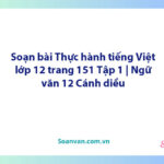 Soạn bài Thực hành tiếng Việt lớp 12 trang 151 Tập 1 | Ngữ văn 12 Cánh diều