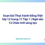 Soạn bài Thực hành tiếng Việt lớp 12 trang 17 Tập 1 | Ngữ văn 12 Chân trời sáng tạo