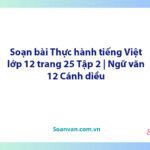 Soạn bài Thực hành tiếng Việt lớp 12 trang 25 Tập 2 | Ngữ văn 12 Cánh diều