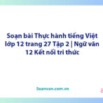 Soạn bài Thực hành tiếng Việt lớp 12 trang 27 Tập 2 | Ngữ văn 12 Kết nối tri thức