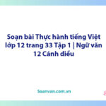 Soạn bài Thực hành tiếng Việt lớp 12 trang 33 Tập 1 | Ngữ văn 12 Cánh diều