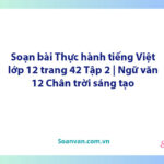 Soạn bài Thực hành tiếng Việt lớp 12 trang 42 Tập 2 | Ngữ văn 12 Chân trời sáng tạo