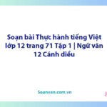 Soạn bài Thực hành tiếng Việt lớp 12 trang 71 Tập 1 | Ngữ văn 12 Cánh diều