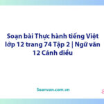 Soạn bài Thực hành tiếng Việt lớp 12 trang 74 Tập 2 | Ngữ văn 12 Cánh diều