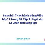 Soạn bài Thực hành tiếng Việt lớp 12 trang 82 Tập 1 | Ngữ văn 12 Chân trời sáng tạo