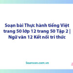 Soạn bài Thực hành tiếng Việt trang 50 lớp 12 trang 50 Tập 2 | Ngữ văn 12 Kết nối tri thức