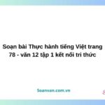 Soạn bài Thực hành tiếng Việt trang 78 - văn 12 tập 1 kết nối tri thức