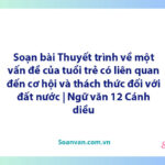 Soạn bài Thuyết trình về một vấn đề của tuổi trẻ có liên quan đến cơ hội và thách thức đối với đất nước | Ngữ văn 12 Cánh diều