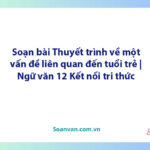 Soạn bài Thuyết trình về một vấn đề liên quan đến tuổi trẻ | Ngữ văn 12 Kết nối tri thức