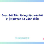 Soạn bài Tiền tội nghiệp của tôi ơi | Ngữ văn 12 Cánh diều