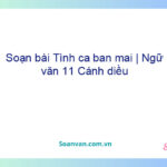 Soạn bài Tình ca ban mai | Ngữ văn 11 Cánh diều