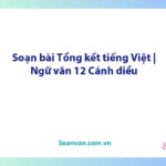 Soạn bài Tổng kết tiếng Việt | Ngữ văn 12 Cánh diều