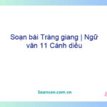 Soạn bài Tràng giang | Ngữ văn 11 Cánh diều