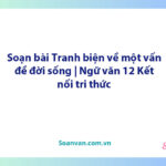 Soạn bài Tranh biện về một vấn đề đời sống | Ngữ văn 12 Kết nối tri thức