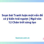 Soạn bài Tranh luận một vấn đề có ý kiến trái ngược | Ngữ văn 12 Chân trời sáng tạo