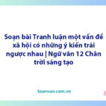 Soạn bài Tranh luận một vấn đề xã hội có những ý kiến trái ngược nhau | Ngữ văn 12 Chân trời sáng tạo