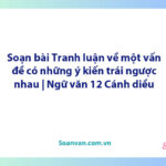 Soạn bài Tranh luận về một vấn đề có những ý kiến trái ngược nhau | Ngữ văn 12 Cánh diều