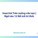 Soạn bài Trên xuồng cứu nạn | Ngữ văn 12 Kết nối tri thức