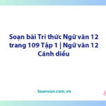 Soạn bài Tri thức Ngữ văn 12 trang 109 Tập 1 | Ngữ văn 12 Cánh diều