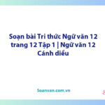 Soạn bài Tri thức Ngữ văn 12 trang 12 Tập 1 | Ngữ văn 12 Cánh diều