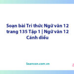 Soạn bài Tri thức Ngữ văn 12 trang 135 Tập 1 | Ngữ văn 12 Cánh diều