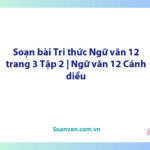 Soạn bài Tri thức Ngữ văn 12 trang 3 Tập 2 | Ngữ văn 12 Cánh diều