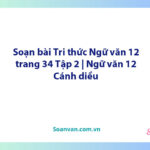 Soạn bài Tri thức Ngữ văn 12 trang 34 Tập 2 | Ngữ văn 12 Cánh diều