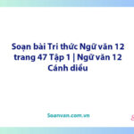 Soạn bài Tri thức Ngữ văn 12 trang 47 Tập 1 | Ngữ văn 12 Cánh diều