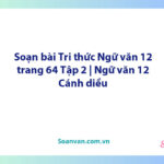 Soạn bài Tri thức Ngữ văn 12 trang 64 Tập 2 | Ngữ văn 12 Cánh diều