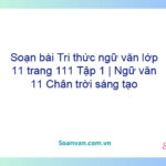 Soạn bài Tri thức ngữ văn lớp 11 trang 111 Tập 1 | Ngữ văn 11 Chân trời sáng tạo