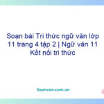 Soạn bài Tri thức ngữ văn lớp 11 trang 4 tập 2 | Ngữ văn 11 Kết nối tri thức